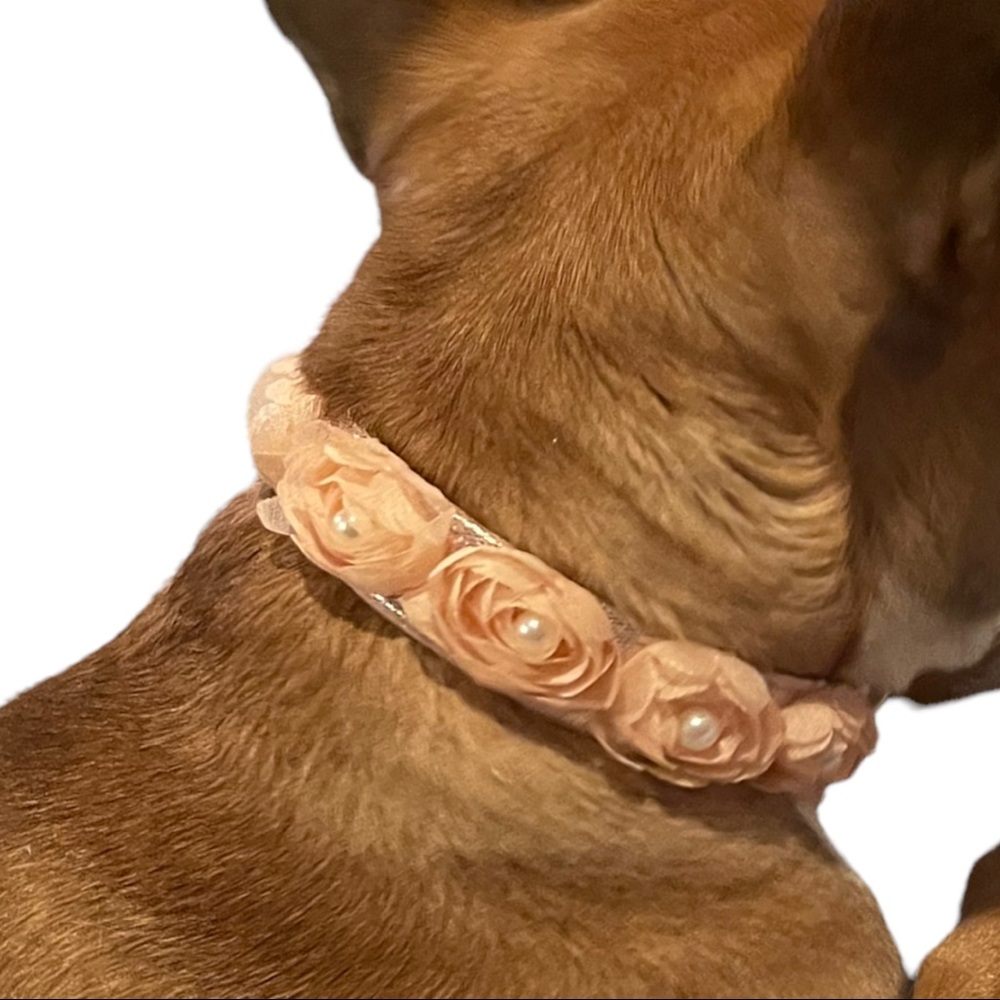 Spring Fling Collar